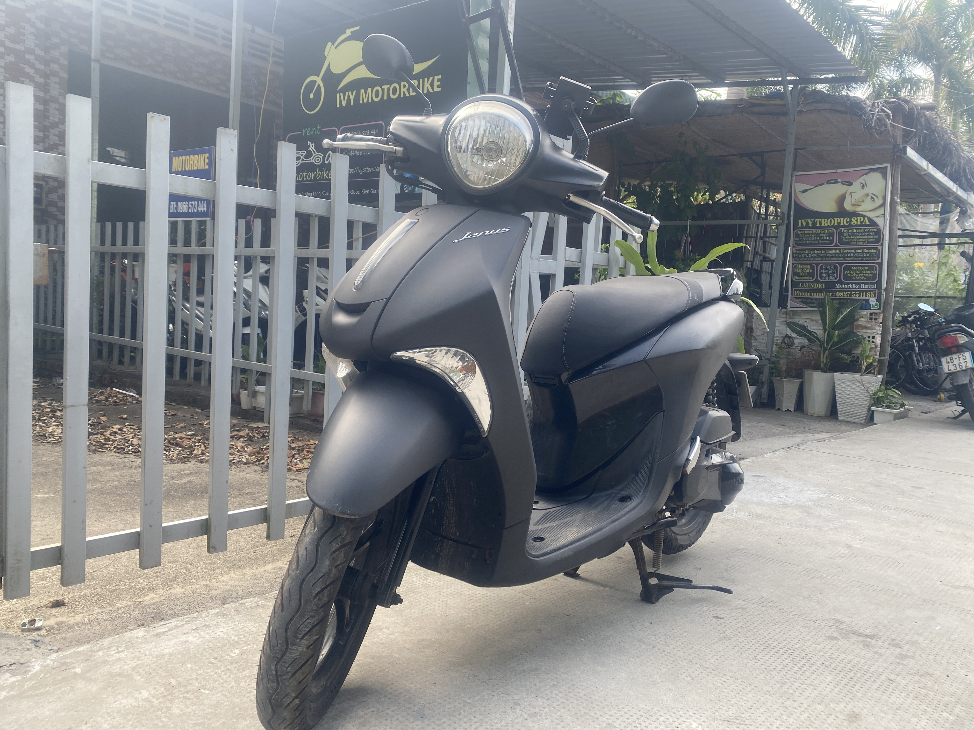 Ivy Motorbike