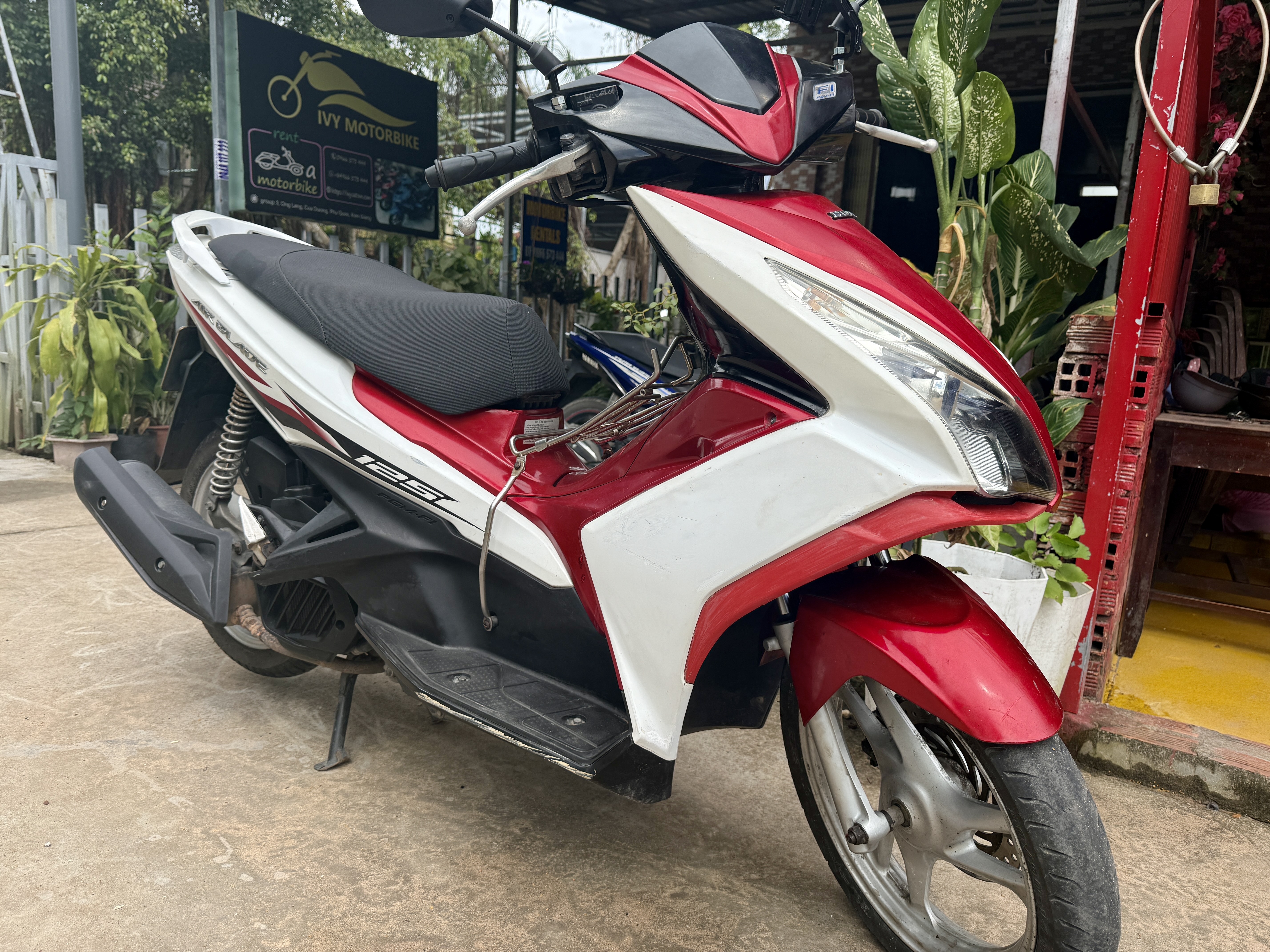 Ivy Motorbike
